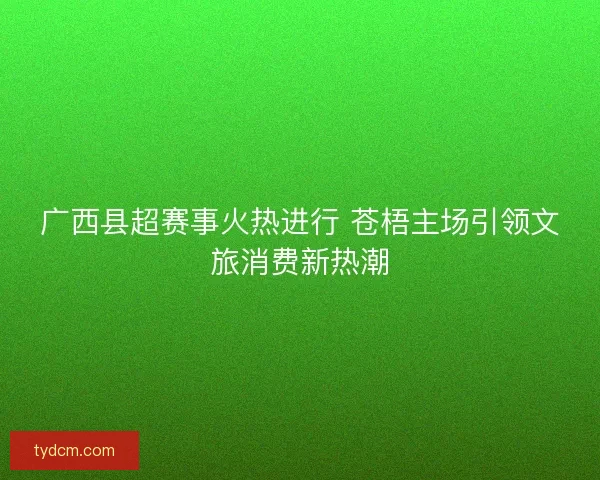 广西县超赛事火热进行 苍梧主场引领文旅消费新热潮