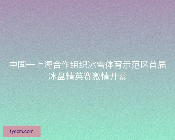中国—上海合作组织冰雪体育示范区首届冰盘精英赛激情开幕